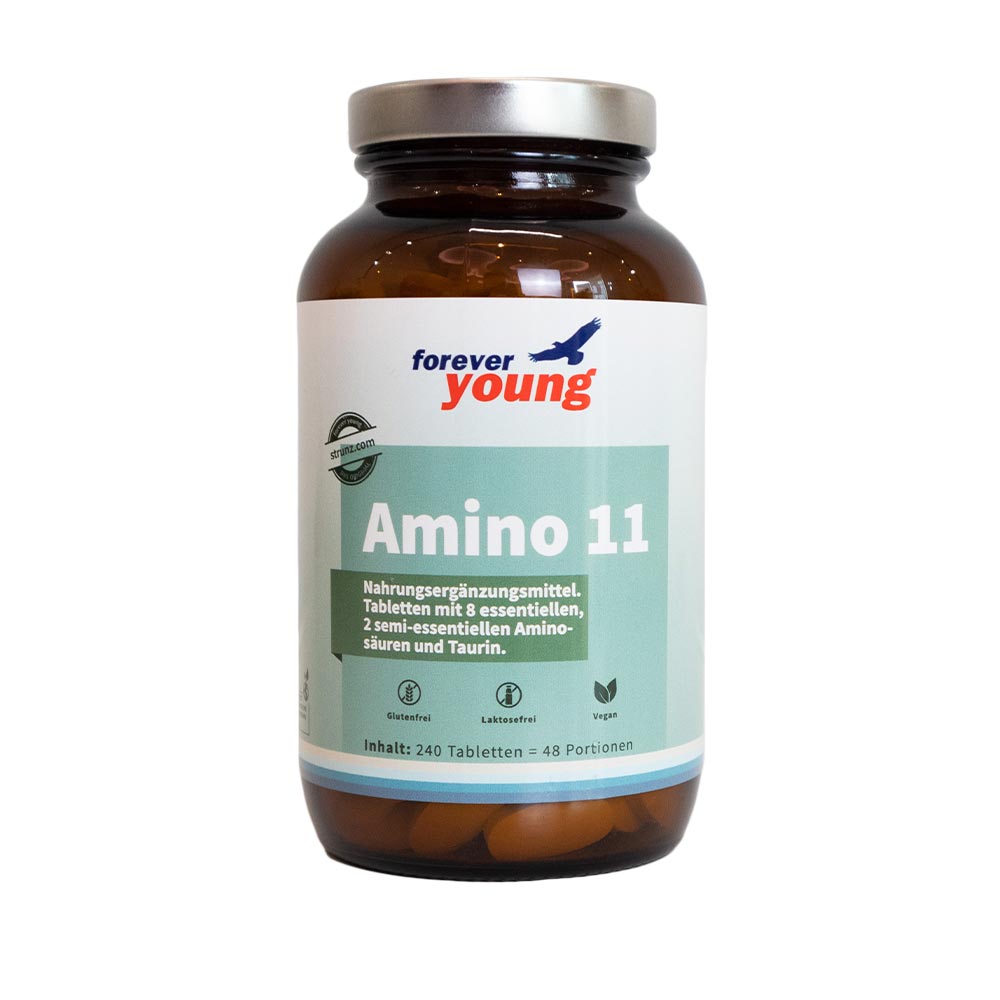 forever young Amino 11