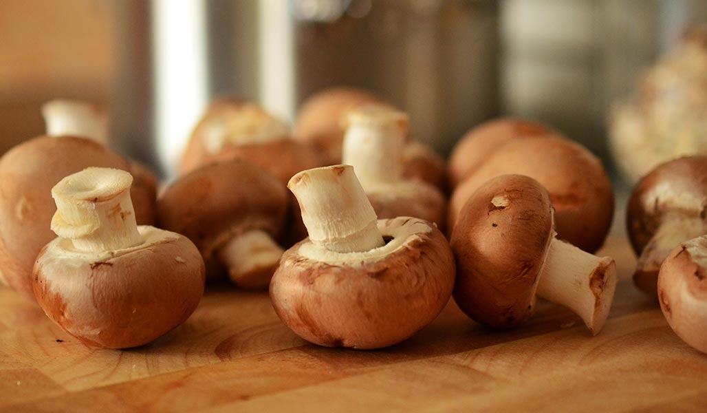 Würzig gebratene Champignons