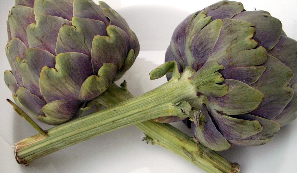 Gegrillte Artischockenherzen mit Tsatsiki