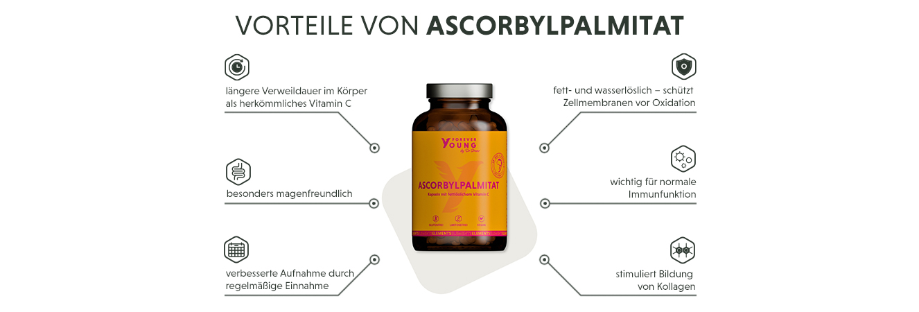 Infografik: Produktmerkmale der Ascorbylpalmitat Kapseln als fettlösliches Vitamin C