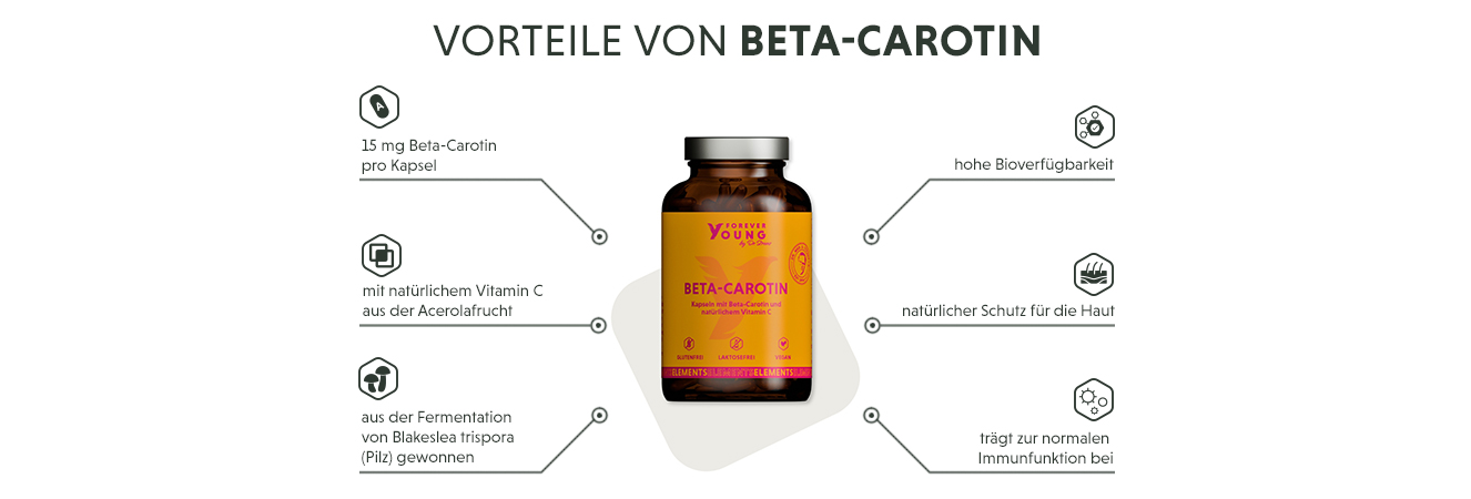 Infografik: Produktmerkmale der Beta-Carotin Kapseln aus Blakeslea trispora