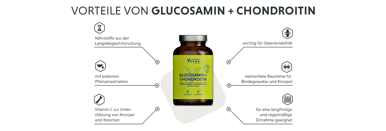 Infografik: Produktmerkmale der Glucosamin Chondroitin Kapseln