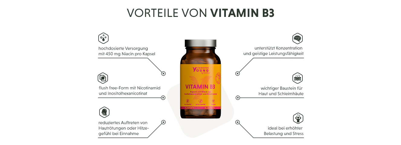 Infografik: Produktmerkmale der hochdosierten Vitamin B3 Kapseln mit 450mg Niacin