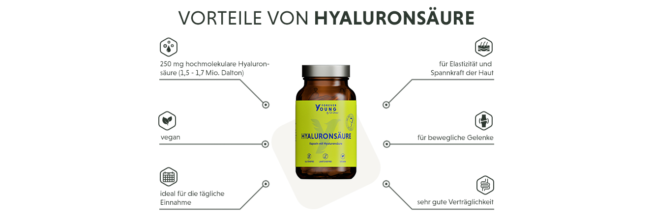 Infografik: Produktmerkmale der Hyaluronsäure Kapseln mit 250mg reinem Natriumhyaluronat