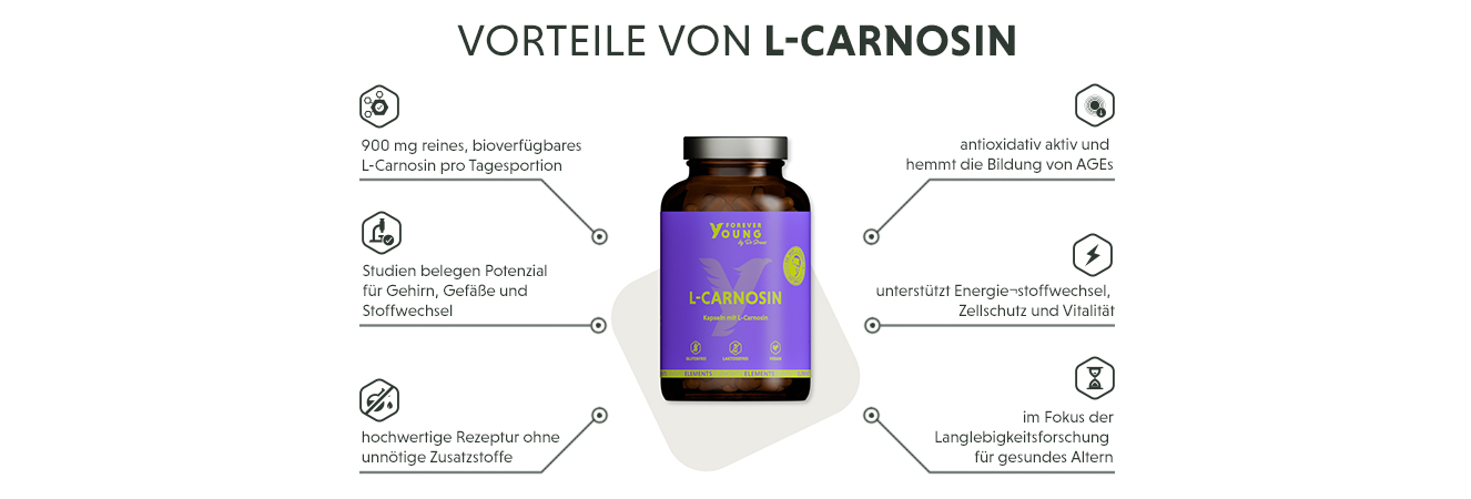 Infografik: Produktmerkmale der 900 mg L-Carnosin Kapseln