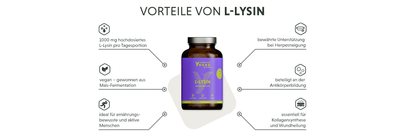 Infografik: Produktmerkmale Produktmerkmale der L-Lysin Kapseln - durch Fermentation aus Mais gewonnen