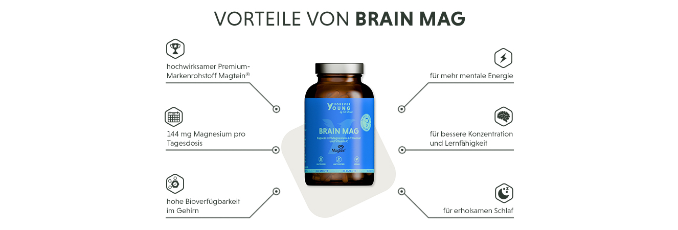 Infografik: Produktmerkmale der Magnesium-L-Threonat Kapseln im Überblick