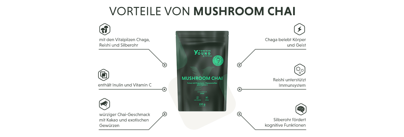 Infografik: Produktmerkmale des Mushroom Chai - eine Vitalpilz Kakao mit Chaga, Reishi & Silberohr