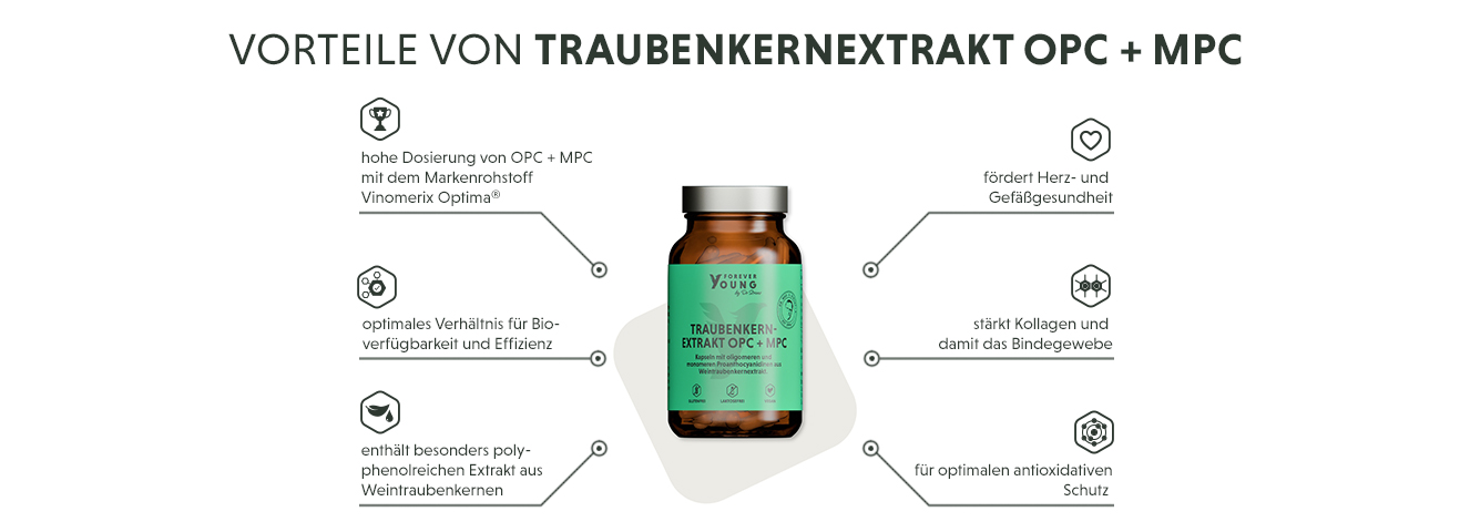 Infografik: Produktmerkmale der OPC + MPC Traubenkernextrakt Kapseln im Überblick