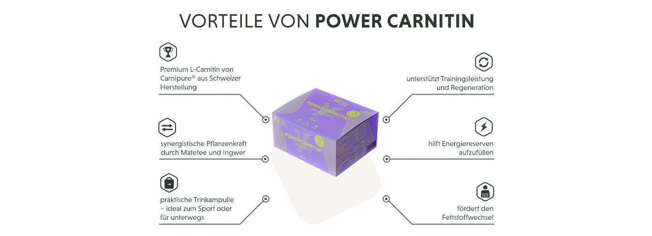 Infografik: Produktmerkmale des hochdosierten L-Carnitin Liquid in Ampullen - mit 1 g Carnitin